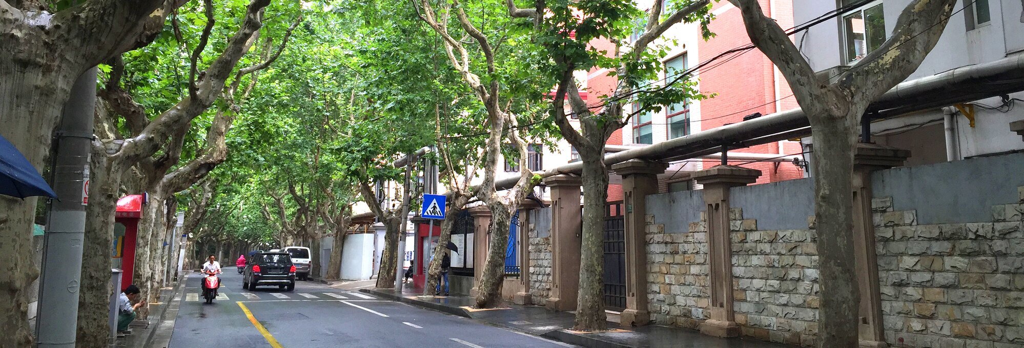 Half-day Shanghai French Concession Biking Tour with Food Tasting